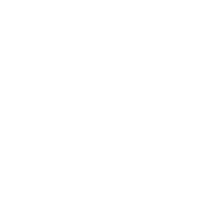 Surfspot logo