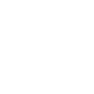 Van Loon Group logo